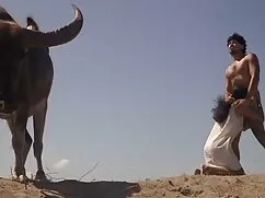 Này mát xa sex nhật  ...