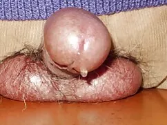 Thiếu niên Khổ và Ly ...