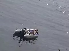 Đấu tranh để fuck, C ...