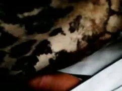 Thiếu tình với sex n ...